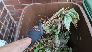 Putting cut plant matter into a garden bin