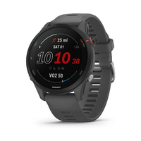 Garmin Forerunner 255