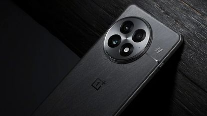 A leaked image of the OnePlus 13