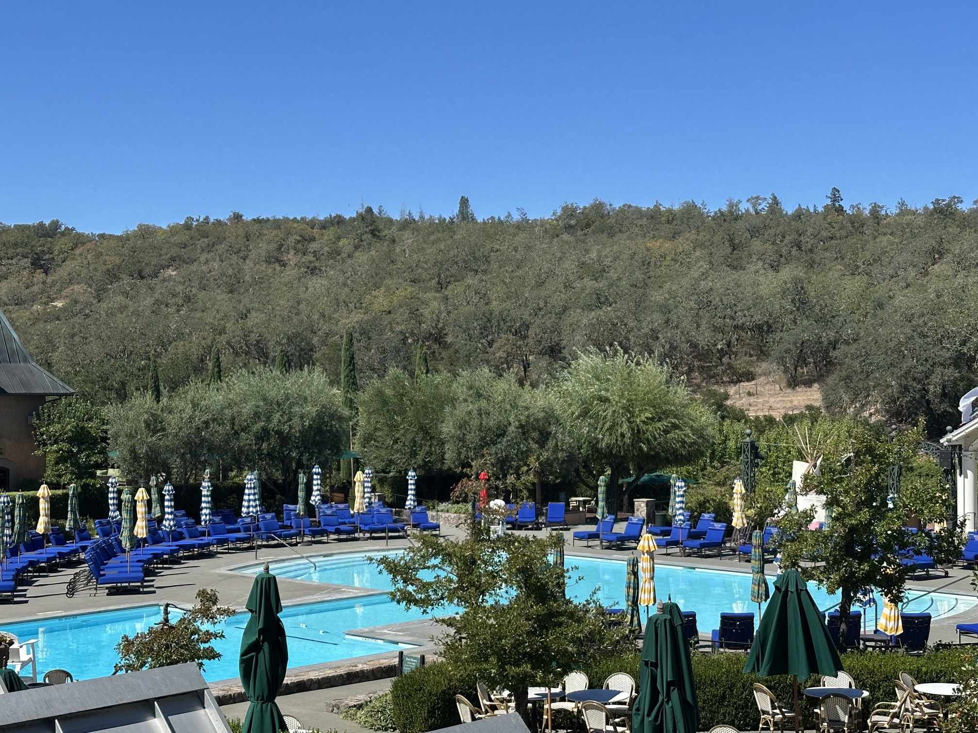 The pool at Francis Ford Coppola Winery