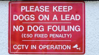 No dog fouling sign