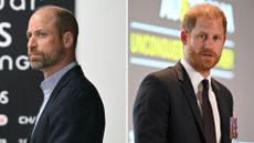 A composite of a picture of Prince William in 2026 and a picture of Prince Harry in 2026