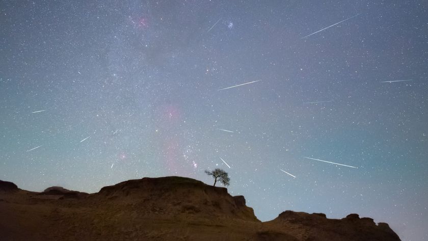 Shooting stars are pictured in a starry night sky above a grassy hill featuring a single tree.