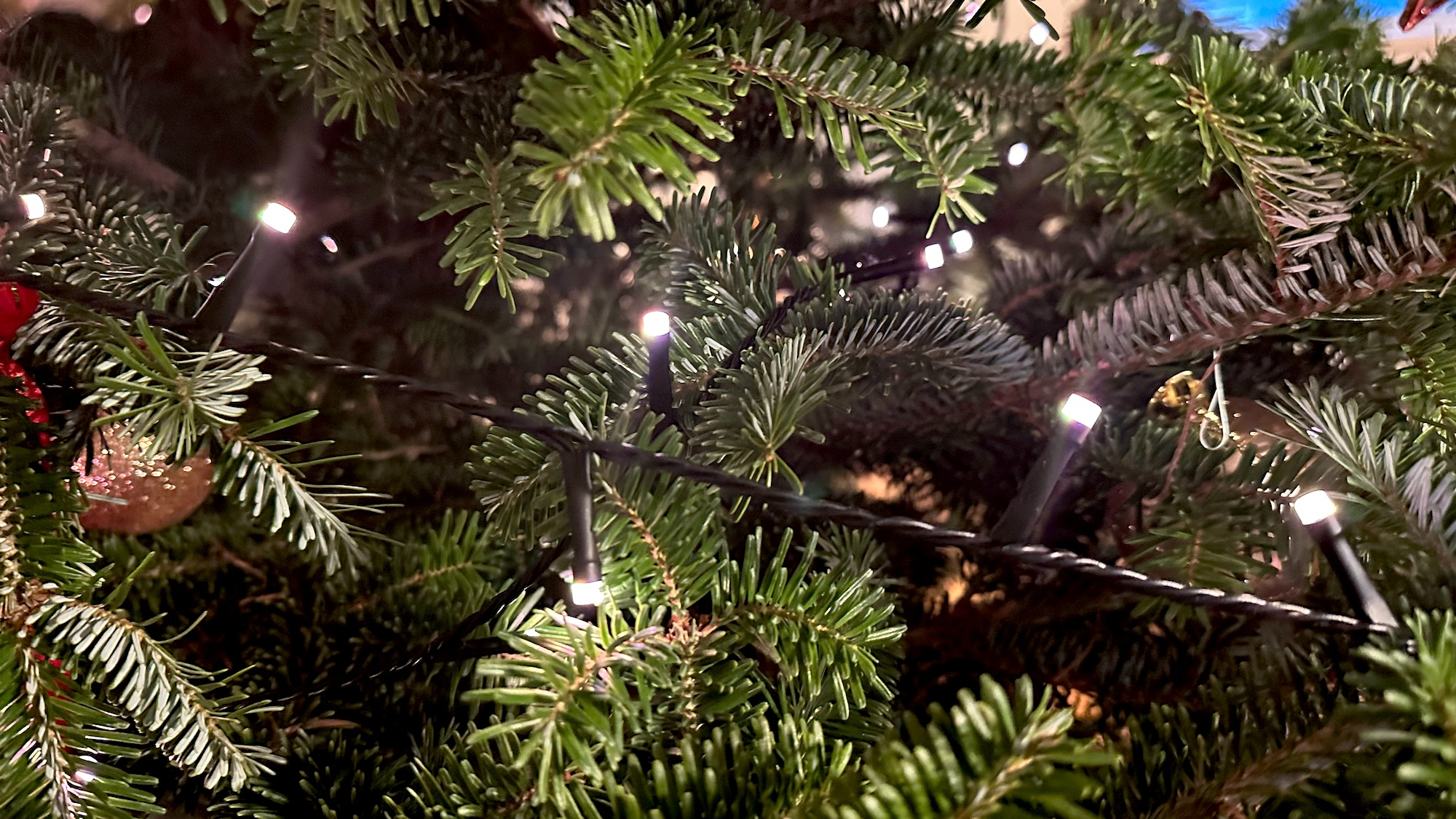 Philips Hue Festavia are the smart lights I know I needed for my Christmas tree | Tom's Guide