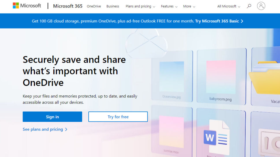 Website screenshot for Microsoft OneDrive