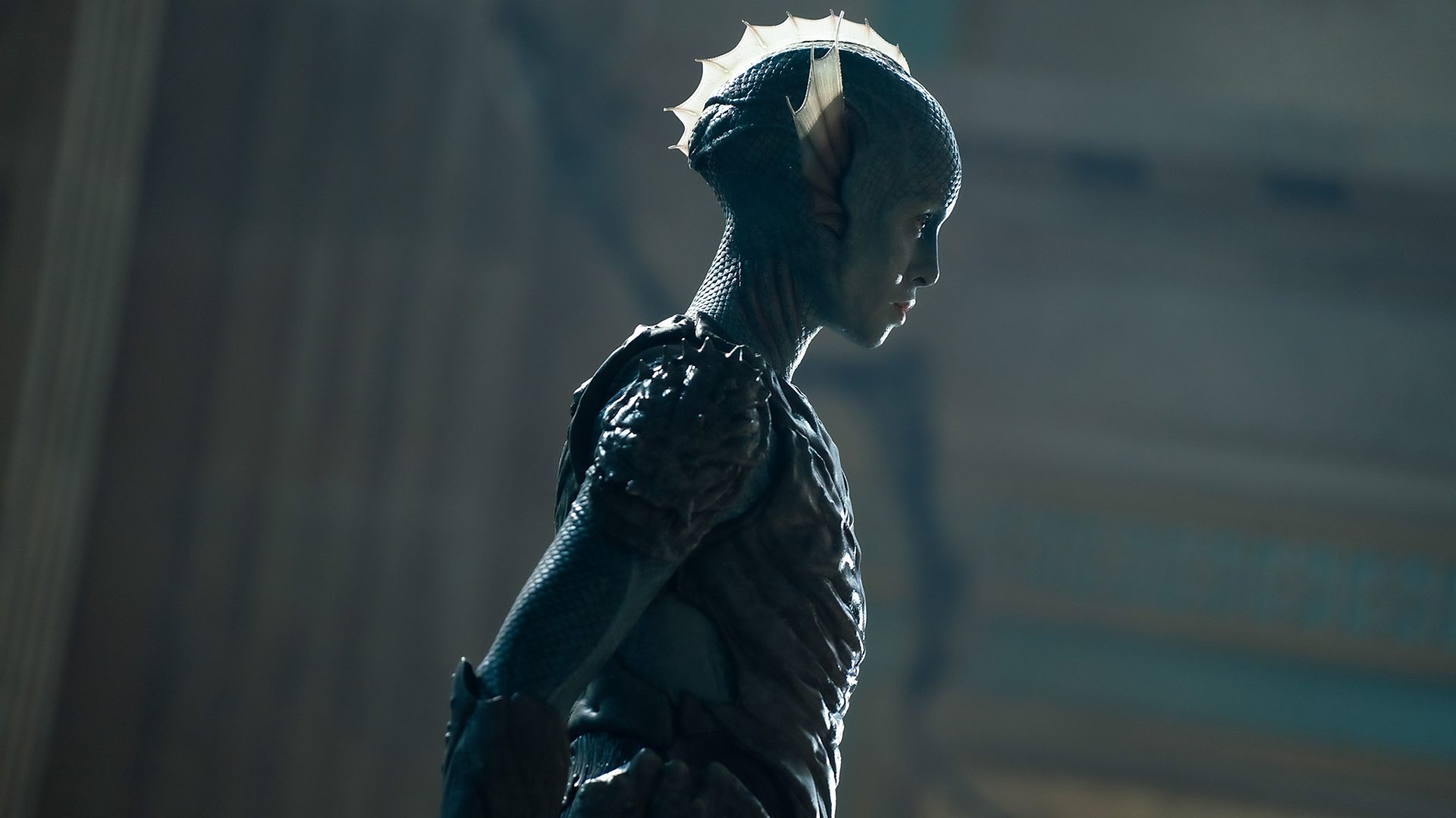 索爾特是兩棲類人種的一員，兩棲類是陸海戰爭中的海魔亞種。