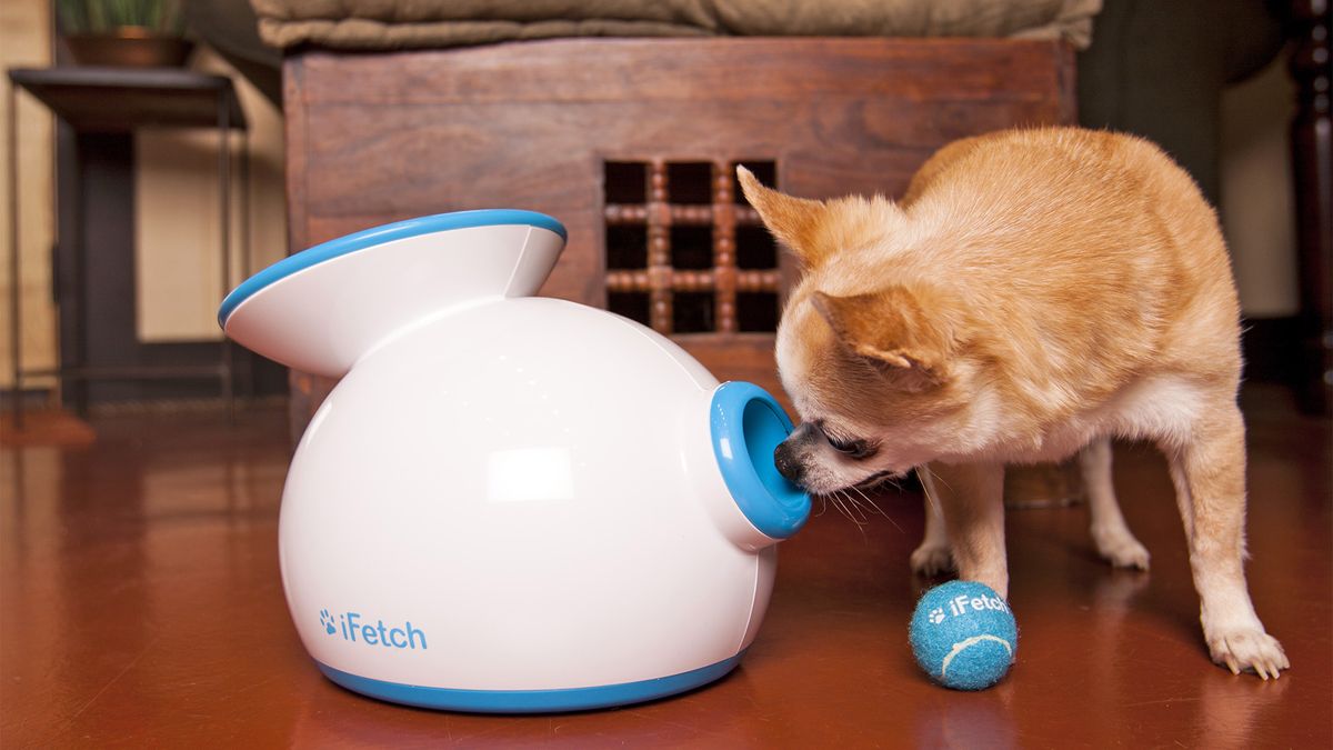 10 dog lover gifts to help upgrade your pet's life TechRadar