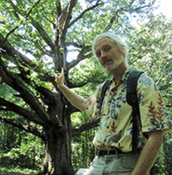 Man in flowery shirt leaning against a tree