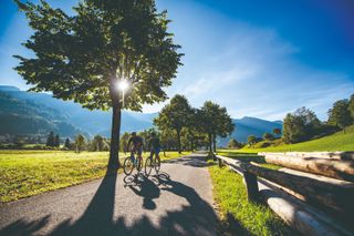 Two cyclists ride under trees