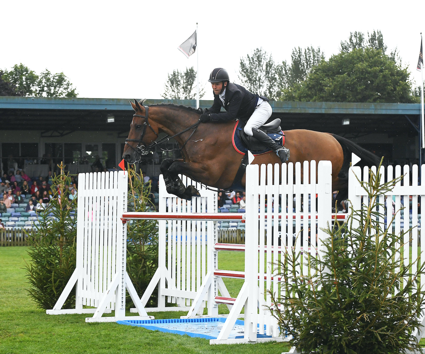 RIHS-Q-E-II-25.07.2146717-copy-1.jpg