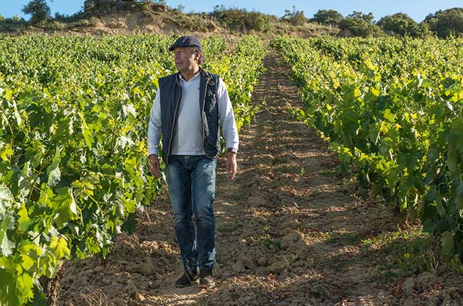 Roberto Rodriguez, Bodegas Palacio