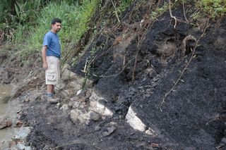 This 2004 photo shows lignite (soft coal) deposits by the Napo River that hold Miocene epoch bones, including the tibia belonging to the sloth.