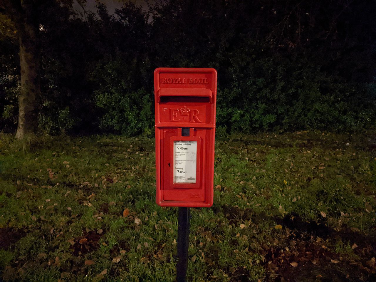 Google Pixel 5 camera sample