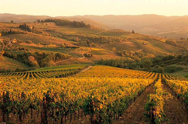 Chianti Classico Riserva 2009 vintage