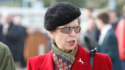 Princess Anne, The Princess Royal attends day 3, St Patrick's Day, of the Cheltenham Festival 2016