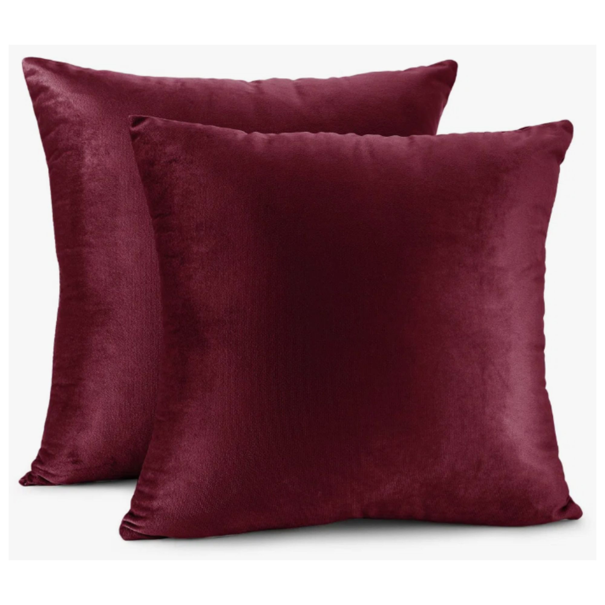 Velvet Decorative Throw Pillow