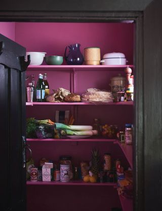 Pink pantry with black door