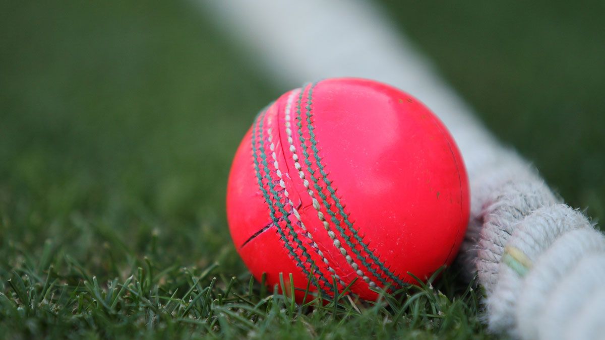 cricket ball