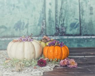 Three pumpkins adorned with lilacs, mums and other autumn gatherings