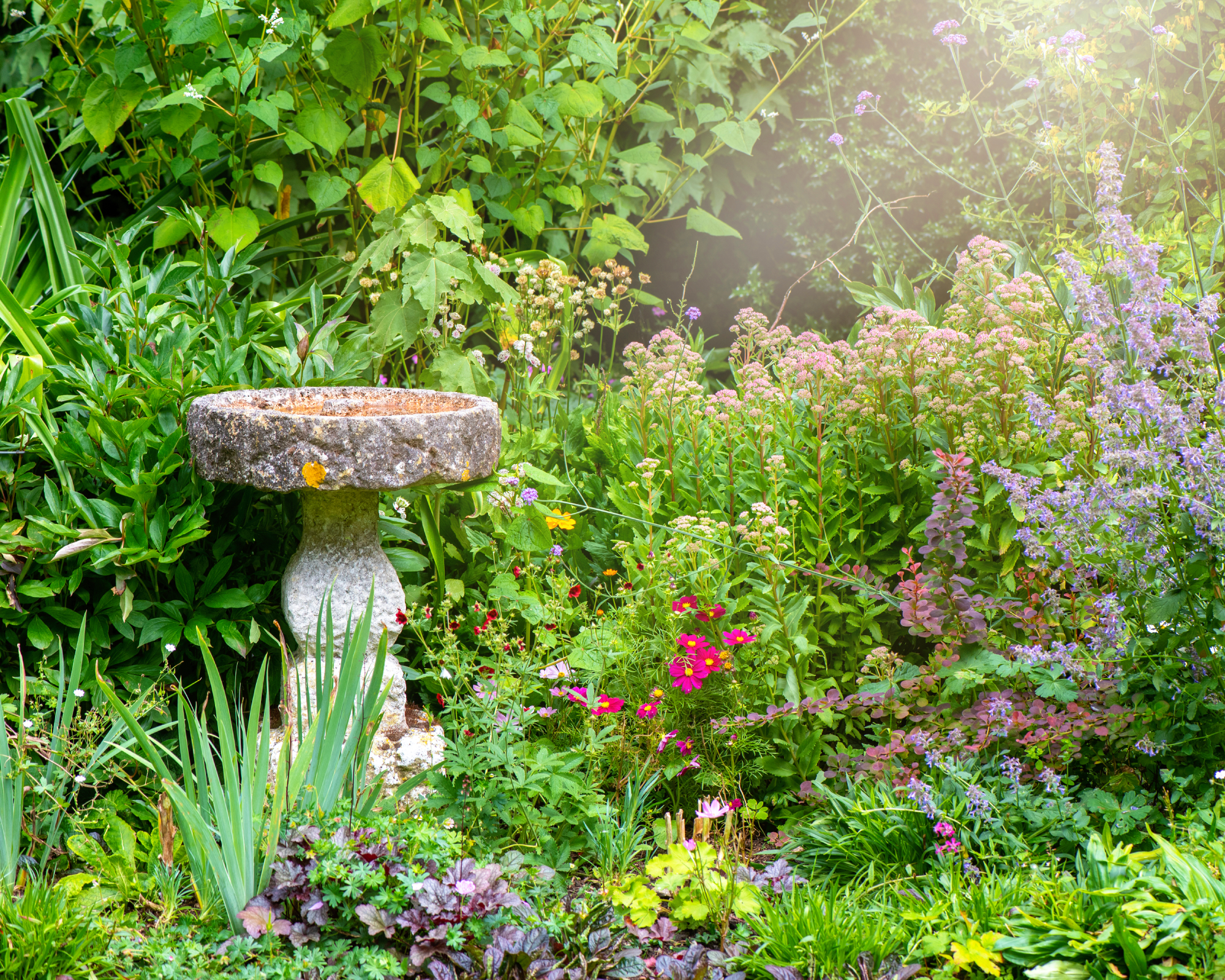 Bird bath in blooming garden