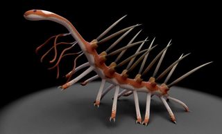 Though researchers aren't sure what the Cambrian worm <em>Hallucigenia sparsa</em> ate when alive, they suspect it used its O-shaped mouth to suck down food like a plunger.