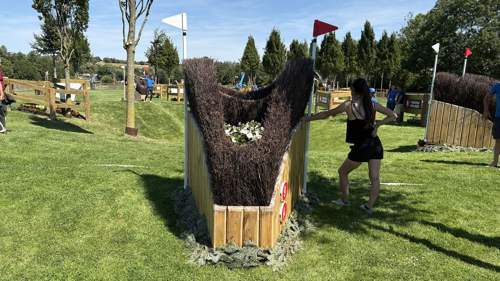 A triple brush arrowhead on the Aachen eventing World Championships cross-country course
