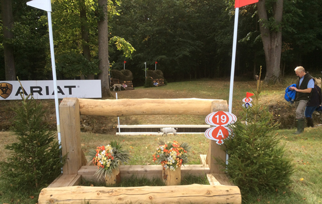 Blenheim Fences 2018