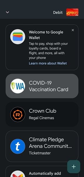 Additional options within Google Wallet.