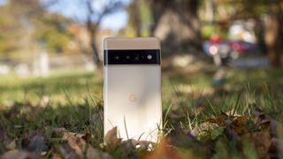 Sorta Sunny Google Pixel 6 Pro in Fall leaves