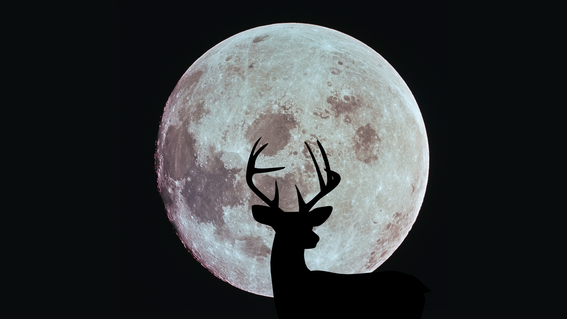  Full Buck Moon shines this weekend on Apollo 11 moon landing anniversary 