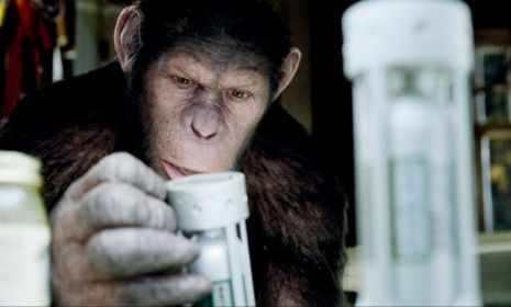 In the forthcoming &amp;quot;Rise of the Planet of the Apes,&amp;quot; intelligent apes revolt, and some scientists warn that without better regulation, that sci-fi storyline could become a reality.