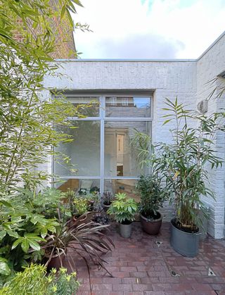 triangle house and its open space, large windows and courtyard with planting all designed by brown urbanism