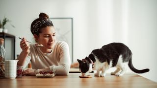 woman eating meal next to cat