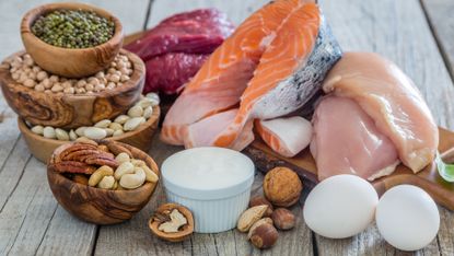 A selection of protein-rich foods