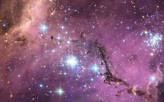 Hidden Treasure in Large Magellanic Cloud 1920