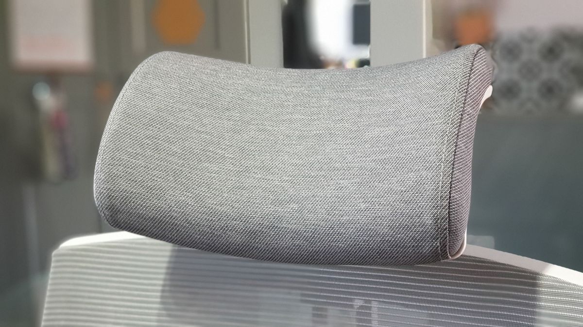 FlexiSpot BS10 back support ergonomic office chair review TechRadar