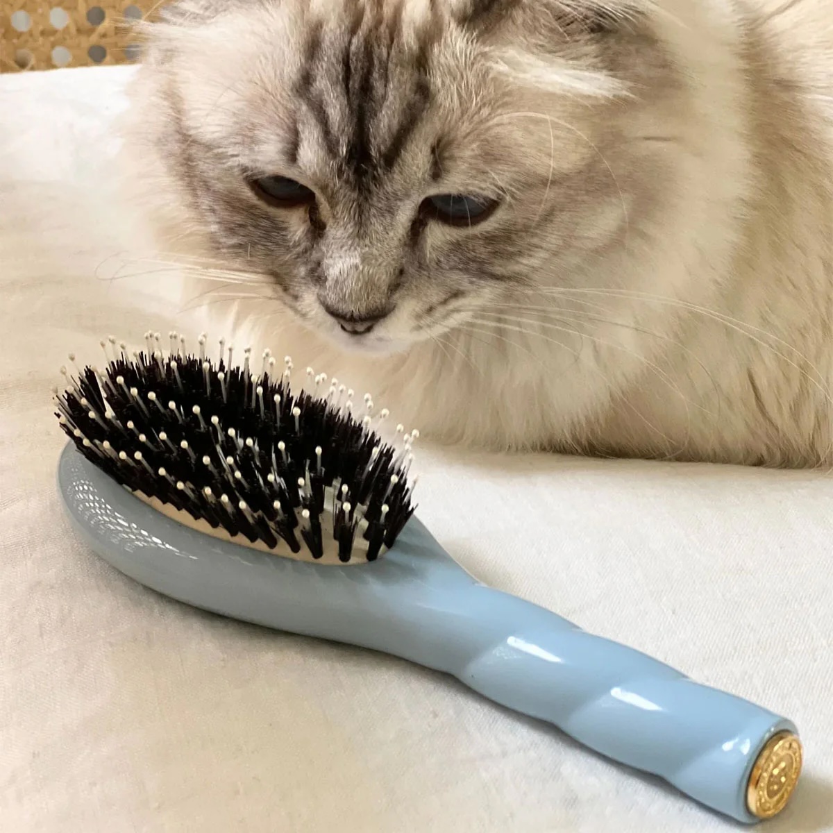 La Bonne BrosseN.03 THE ESSENTIAL SOFT Petite Brush