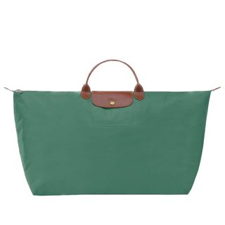green longchamp bag