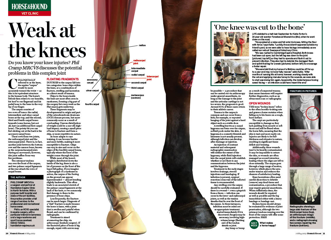 Vet 2pp (16 5) Knee Injuries final