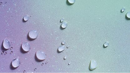 Mould toxicity: A surface with water droplets on it