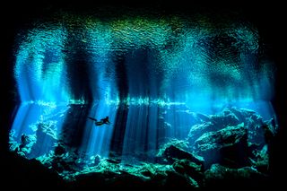 upy british underwater photographer of the year