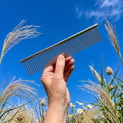 Metal comb used in August to care for ornamental grasses and reduce weeding