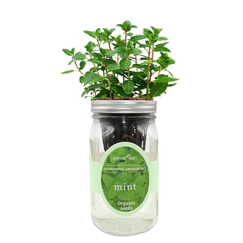 Hydroponic Herb Growing Kit, Self-Watering Mason Jar Herb Garden Starter Kit Indoor, Window Herbs Garden, Grow Your Own Herbs From Organic Seeds (mint)