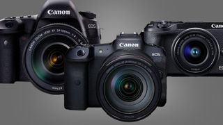 Three Canon cameras on a grey background