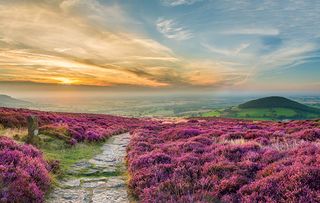 Cleveland Way National Trail, near Whorl Hill