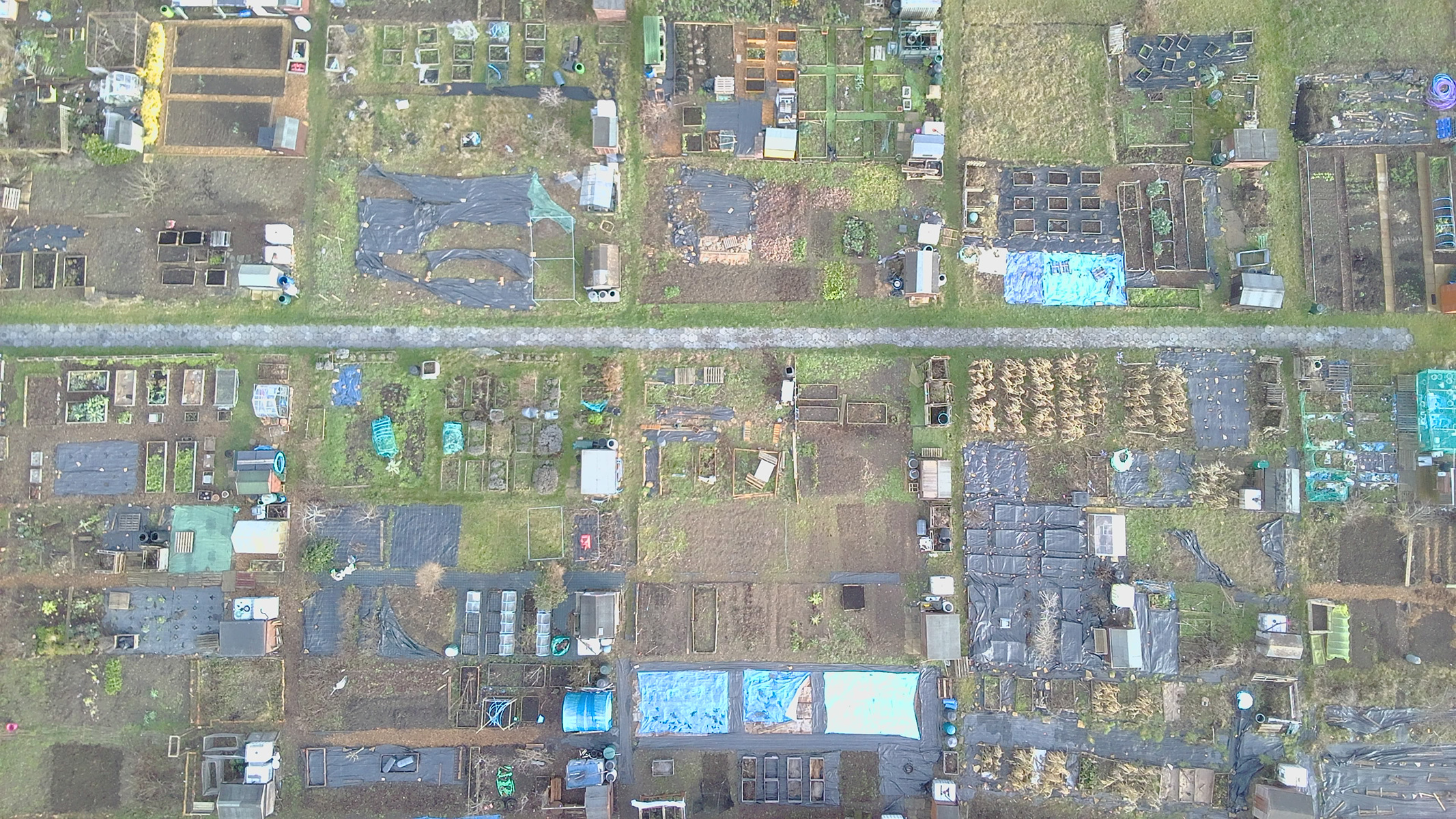 Photo of allotments taken with a V-Copter Falcon Mini