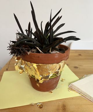 terracotta plant pot project with gold leaf