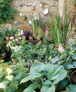 display of pots in walled garden
