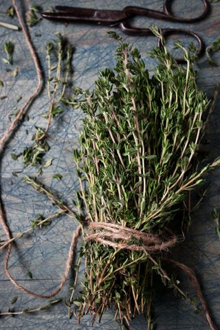 How to grow thyme - harvesting
