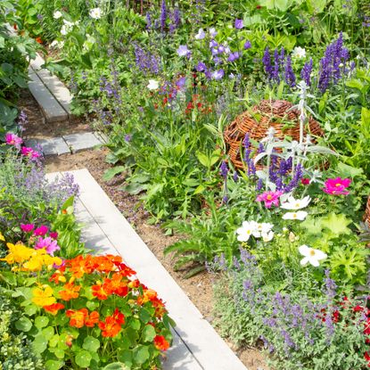 flowers and vegetables in a garden - basieb - GettyImages-1215942217